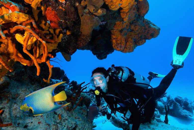  Junto a la barrera de coral de Cozumel