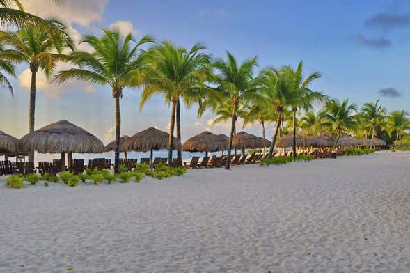 Tour de bares por Cozumel