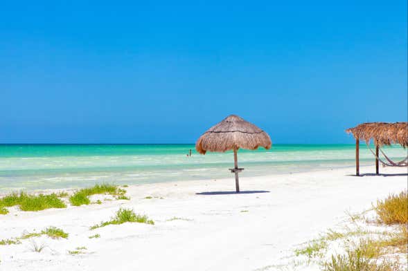 Excursión a la isla Holbox