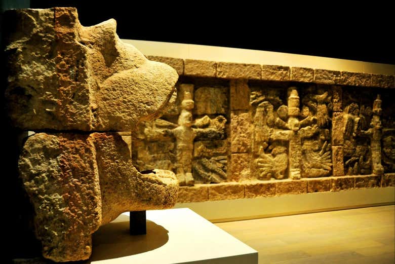 Conoceréis el Museo Maya